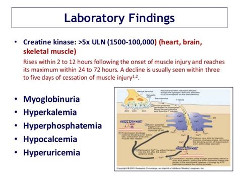 calcium replacement in rhabdomyolysis.